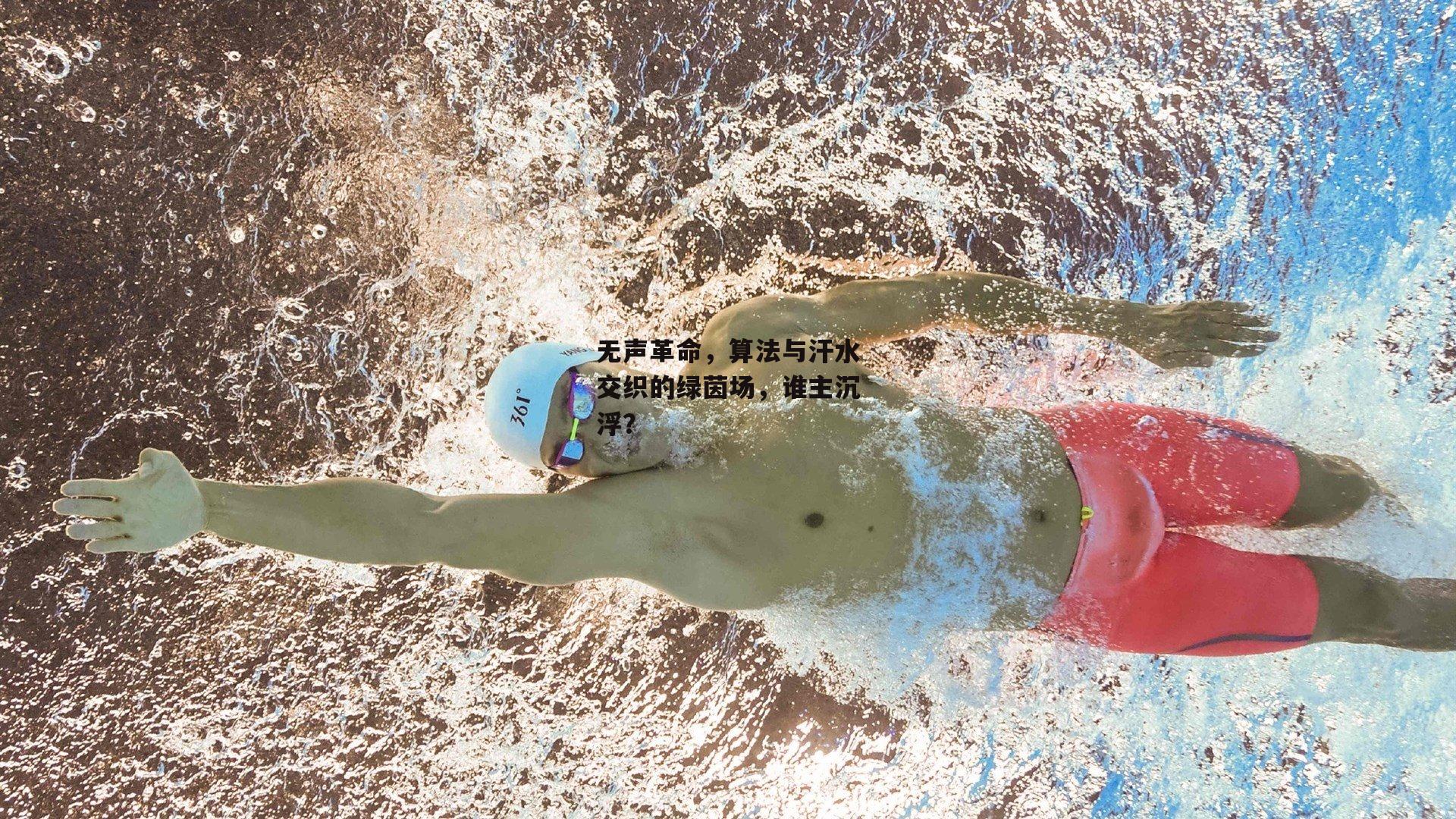 无声革命,算法与汗水交织的绿茵场,谁主沉浮?